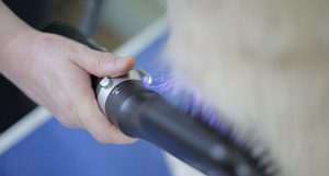 Dog Grooming Dryer Brush LED light