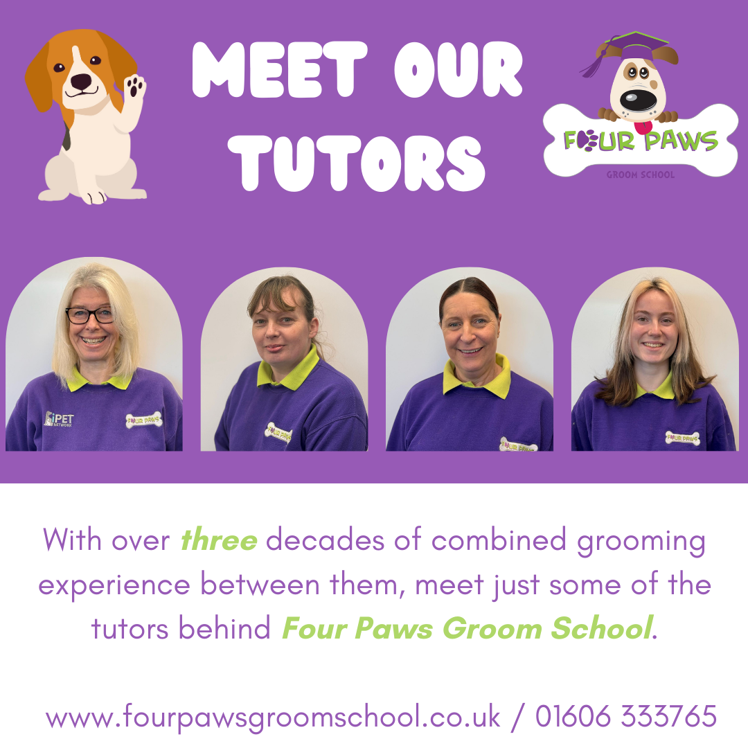 Meet our Tutors - Four Paws Groom School